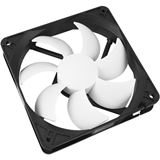 Cooltek Silent Fan 120 PWM low bulk 120x120x25mm 300-1200 U/min 17.1 dB(A) schwarz/weiß